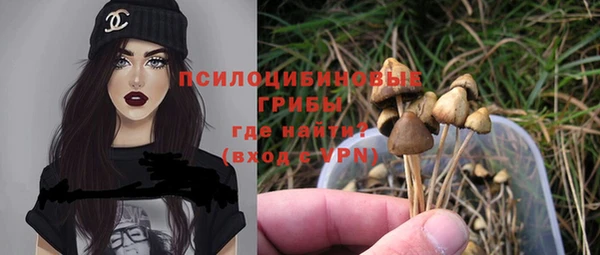 ALPHA PVP Алзамай