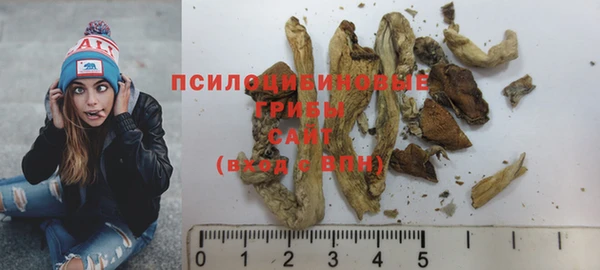 ПСИЛОЦИБИНОВЫЕ ГРИБЫ Абаза