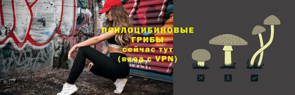 дурь Нея