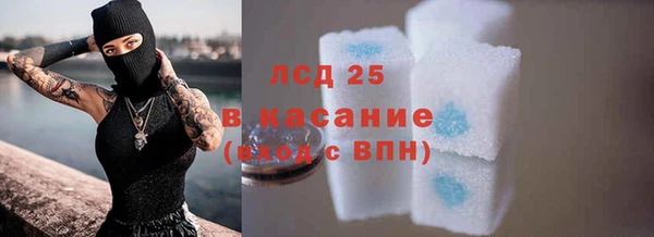 хмурый Нефтекумск